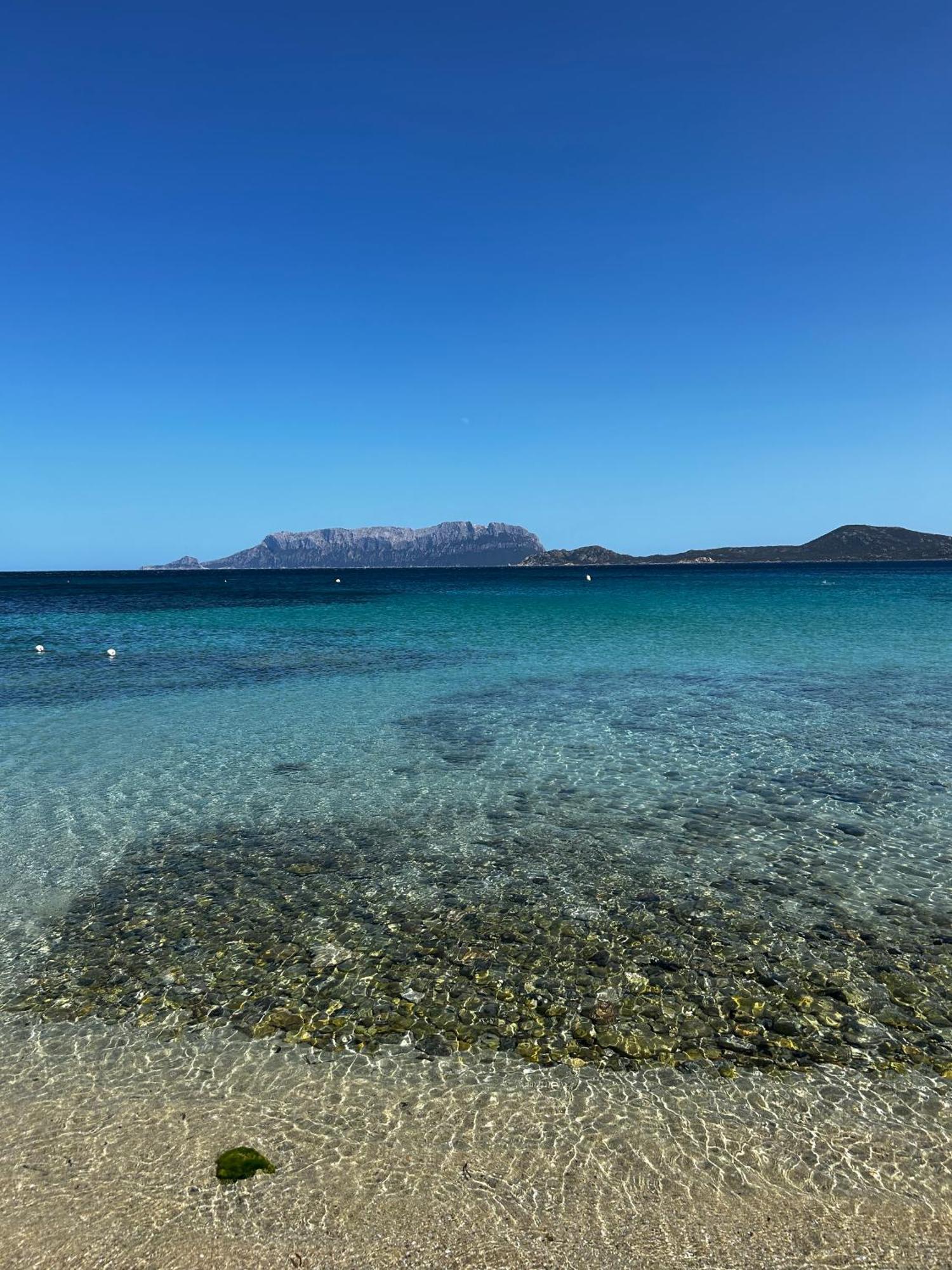 Villa Ulivo Olbia Zewnętrze zdjęcie